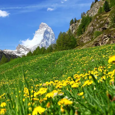 Haus Rossignol B 2e By Interhome Zermatt